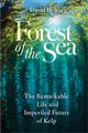 Forest of the Sea: The Remarkable Life and Imperiled Future of Kelp