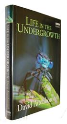 Life in the Undergrowth