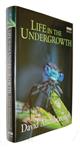 Life in the Undergrowth