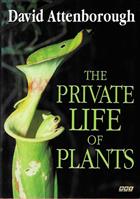 The Private Life of Plants: A Natural History of Plant Behaviour