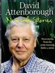 New Life Stories