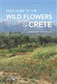 Field Guide to the Wild Flowers of Crete