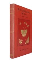 Butterflies and Moths in Romance and Reality