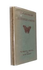 Butterflies & Moths (