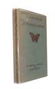 Butterflies & Moths (