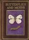 Butterflies and Moths shown to the Children