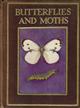 Butterflies and Moths shown to the Children