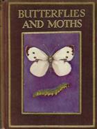 Butterflies and Moths shown to the Children