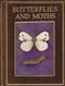 Butterflies and Moths shown to the Children