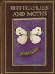 Butterflies and Moths shown to the Children