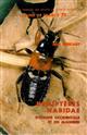Hemipteres Nabidae d'Europe occidentale et du Maghreb Faune de France 71
