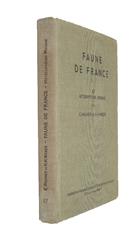 Heteropteres Miridae Faune de France 67