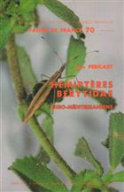 Hemipteres Berytidae euro-mediterraneens Faune de France 70