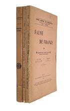 Hyménoptères vespiformes I-III (Faune de France 10, 19, 34)