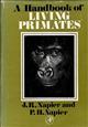 A Handbook of Living Primates: Morphology, Ecology and Behaviour of Nonhuman Primates
