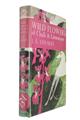 Wild Flowers of Chalk and Limestone (New Naturalist 16)