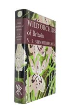 Wild Orchids of Britain (New Naturalist 19)