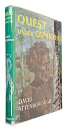 Quest under Capricorn