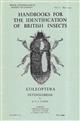 Heteroceridae (Handbooks for the Identification of British Insects 5/2c)