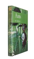 Ants (New Naturalist 59)