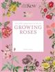 The Kew Gardener's Guide to Growing Roses: The Art and Science to Grow with Confidence