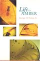Life in Amber