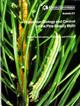 Population Biology and Control of the Pine Beauty Moth (Forestry Commission Bulletin 67)