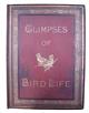 Glimpses of Bird Life Pourtrayed with Pen and Pencil