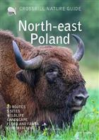 Crossbill Guide: North-east Poland