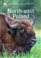 Crossbill Guide: North-east Poland