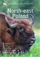Crossbill Guide: North-east Poland