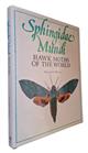 Sphingidae Mundi: Hawk Moths of the World