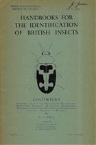 Coleoptera (Lagriidae, Aleculidae, Tetratomidae, Melandryidae, Salpingidae, Pythidae, Mycteridae, Oedemeridae, Mordellidae, Scraptiidae, Pyrochroidae, Rhipiphoridae, Anthicidae, Aderidae and Meloidae) (Handbooks for the Identification of British Insects 5/9)
