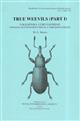 True Weevils 1: Coleoptera: Curculionidae (Raymondionyminae to Smicronychinae) (Handbooks for the Identification of British Insects 5/17b)