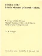 A Review of the African Phaneropterinae with Open Tympana (Orthoptera: Tettigoniidae)
