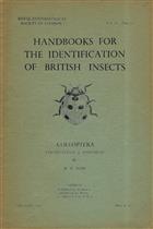 Coleoptera Coccinellidae and Sphindidae (Handbooks for Identification of British Insects 5/7)