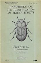 Tenebrionidae (Handbooks for the Identification of British Insects 5/10)