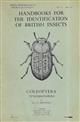 Tenebrionidae (Handbooks for the Identification of British Insects 5/10)