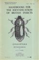 Heteroceridae (Handbooks for the Identification of British Insects 5/2c)