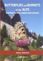 Butterflies and Burnets of the Alps and their larvae, pupae and cocoons