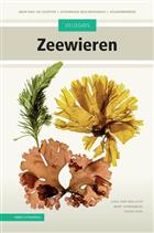 Veldgids Zeewieren: More than 145 species - extensive descriptions - field characteristics