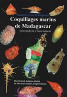 Seashells from Madagascar - Coquillages marins de Madagascar. Gasteropodes de la faune malgache