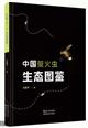 Ecological Atlas of Fireflies in China | 中国萤火虫生态图鉴(精)