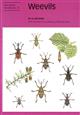 Weevils (Naturalists' Handbooks 16)