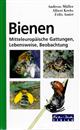 Bienen Mitteleuropäische Gattungen, Lebensweise, Beobachtung