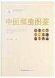 Illustrated Handbook of Ladybird Beetles in China | 中国瓢虫图鉴