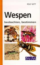 Wespen beobachten, bestimmen