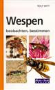 Wespen beobachten, bestimmen
