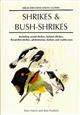 Shrikes and Bush-Shrikes