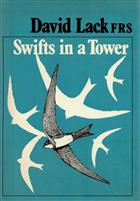 Swifts in a Tower